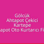 Kocaeli Gölcük Ahtapot Çekici – Kocaeli Kartepe Ahtapot Oto Kurtarıcı Fiyatı