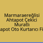 Tekirdağ Marmaraereğlisi Ahtapot Çekici – Tekirdağ Muratlı Ahtapot Oto Kurtarıcı Fiyatı
