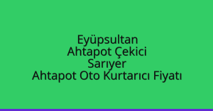 Eyüpsultan Ahtapot Çekici – Sarıyer Ahtapot Oto Kurtarıcı Fiyatı