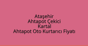 Ataşehir Ahtapot Çekici – Kartal Ahtapot Oto Kurtarıcı Fiyatı