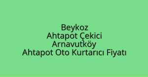 Beykoz Ahtapot Çekici – Arnavutköy Ahtapot Oto Kurtarıcı Fiyatı
