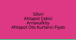 Silivri Ahtapot Çekici – Arnavutköy Ahtapot Oto Kurtarıcı Fiyatı